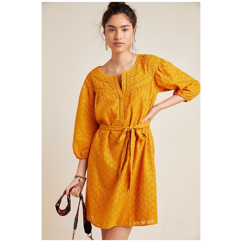 Anthropologie Treva Embroidered Tunic